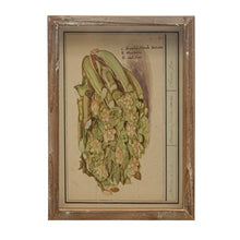 Load image into Gallery viewer, Framed Vintage Vegetable Print Wall Art, 4 Styles