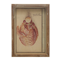 Load image into Gallery viewer, Framed Vintage Vegetable Print Wall Art, 4 Styles