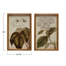 Load image into Gallery viewer, Framed Vintage Flower Print Wall Art, 2 Styles