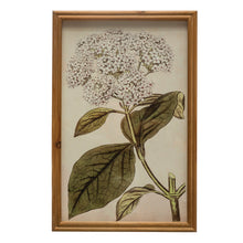 Load image into Gallery viewer, Framed Vintage Flower Print Wall Art, 2 Styles
