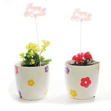 Load image into Gallery viewer, Euphorbia, 4in, Easter Ceramic Flower Pot, Asst.