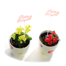Load image into Gallery viewer, Euphorbia, 4in, Easter Ceramic Flower Pot, Asst.