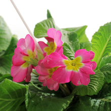 Load image into Gallery viewer, Primula, 4in, Easter Metal Pot, Asst.