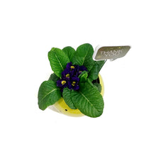 Load image into Gallery viewer, Teacher's Week Planter, 4in, Smile Pot w/ Pick