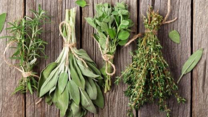 Top 5: Herbs to Grow in the Winter