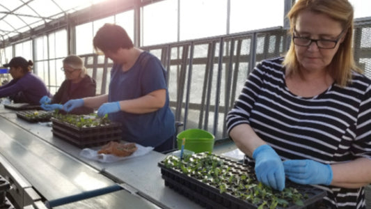 We're Up To Some Serious Planting - Floral Acres Greenhouse & Garden Centre
