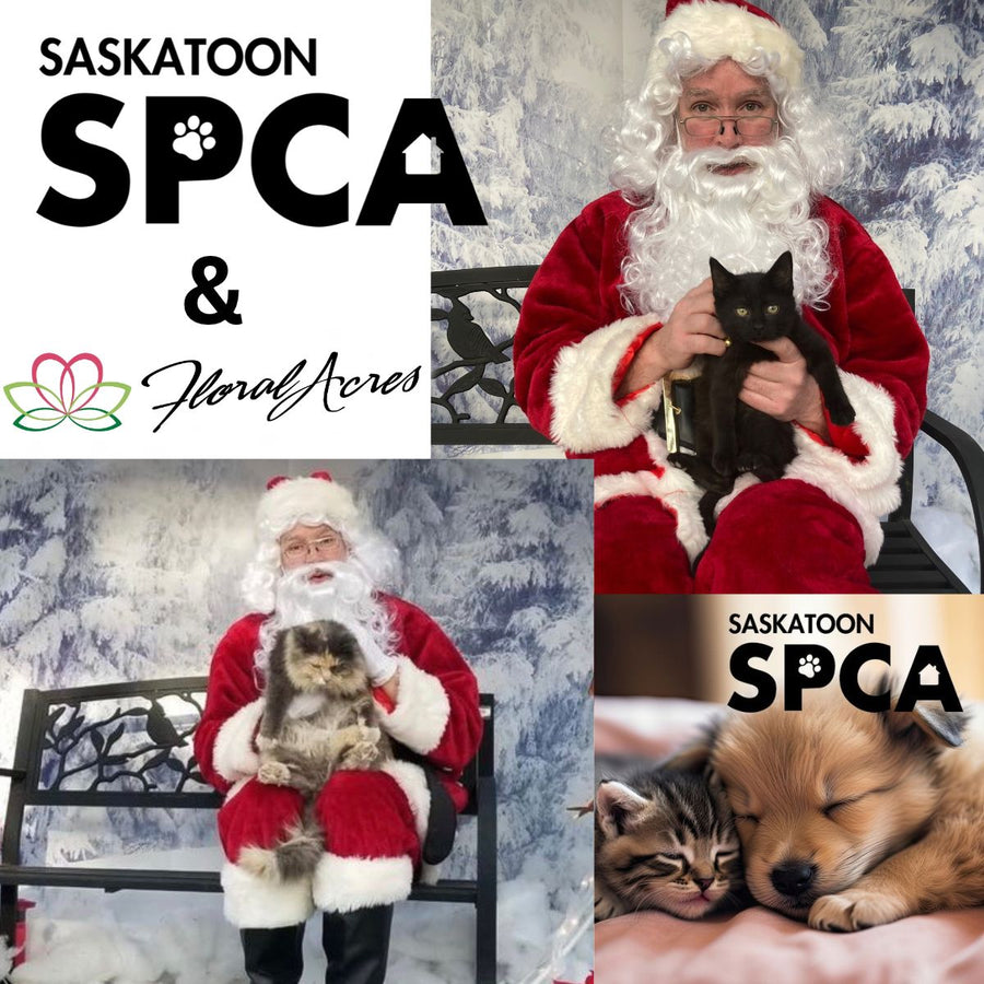 SPCA Pet Photos with Santa on Nov. 21!