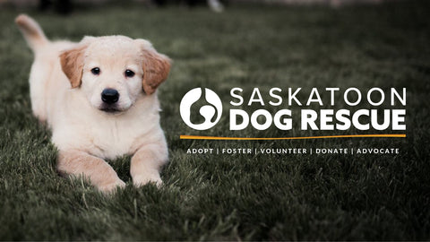 December 17, 2022 - Saskatoon Dog Rescue Pet-Friendly Photo Booth - 1pm to 4pm