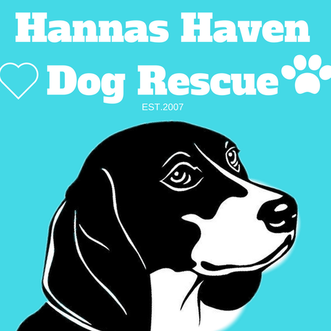 December 10 & 11, 2022 - Hanna's Haven Pet-Friendly Photo Booth w/ Santa - 12nn to 3pm