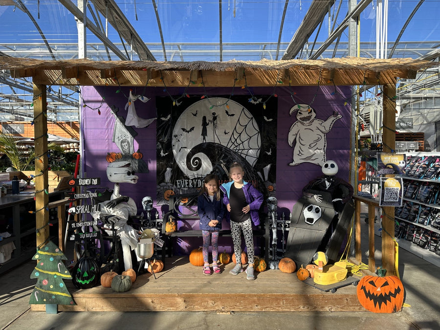 HALLOWEEN PHOTO BOOTH CONTEST 2023