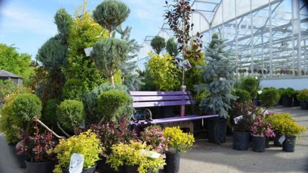 Spring Has Sprung! - Floral Acres Greenhouse & Garden Centre