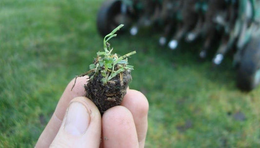 Getting Your Lawn Ready For Fall - Floral Acres Greenhouse & Garden Centre