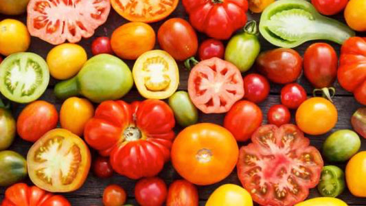 What’s Hot in 2020 - Your Guide to New Vegetable & Herb Varieties - Floral Acres Greenhouse & Garden Centre