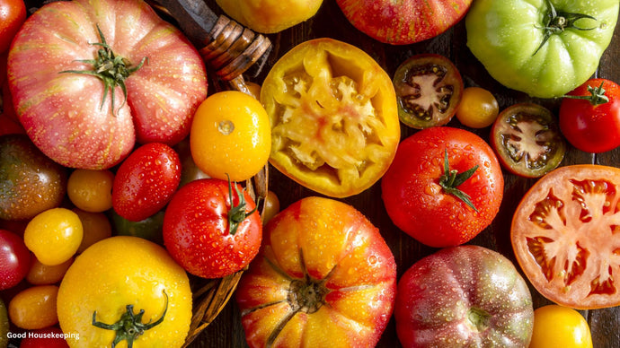 Make This the Spring to Grow Heirloom Tomatoes!