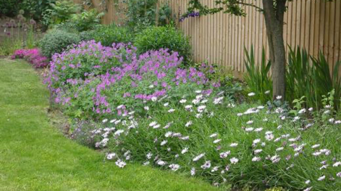 Designing a Perennial Garden: Essentials For a Great Winter Project