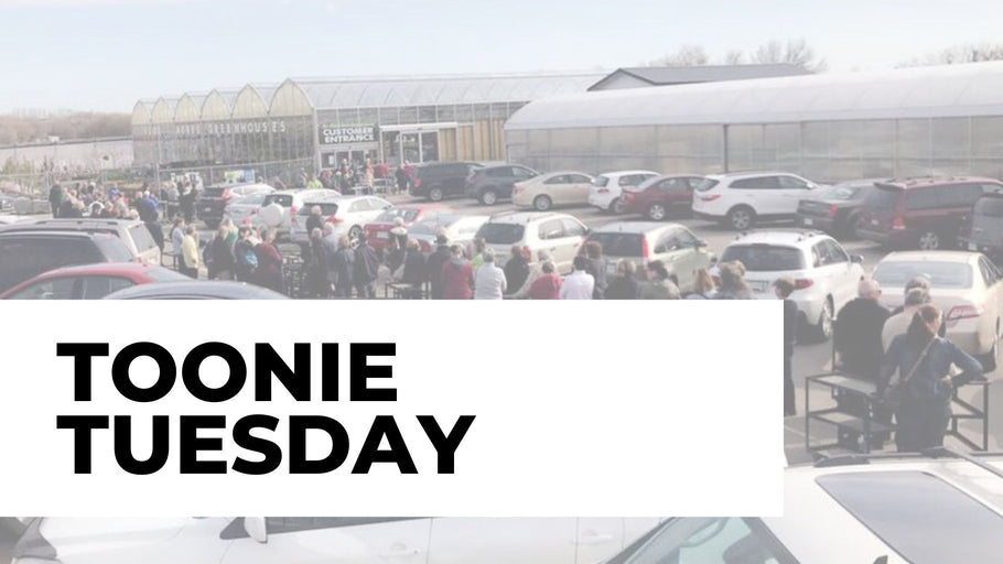 Response to Feedback on Toonie Tuesday Sale