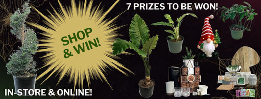 2025 BLACK FRIDAY & CYBER MONDAY CONTESTS