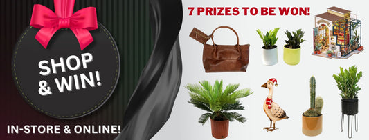 2024 BLACK FRIDAY & CYBER MONDAY CONTEST