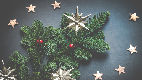 Top 5 Ways to Keep Evergreen Boughs and Cut Greens Fresh Through the Holiday Season