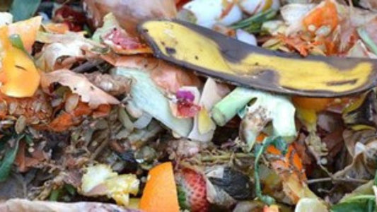 The Dirt on How to Start Your Own Compost Pile