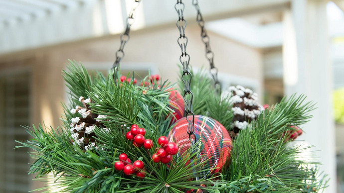 Create A Festive Christmas Outdoor Hanging Basket