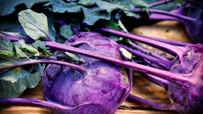 Top 5 Cool Season Vegetables – The First to Plant In Your Garden This Spring!