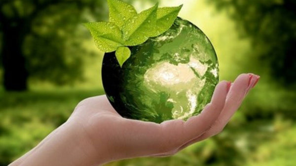 Natural Garden Products – Safe For the Environment – Safe for You!