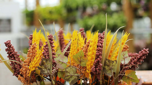September In The Garden