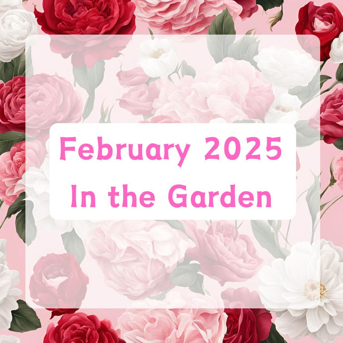 February 2025 In the Garden