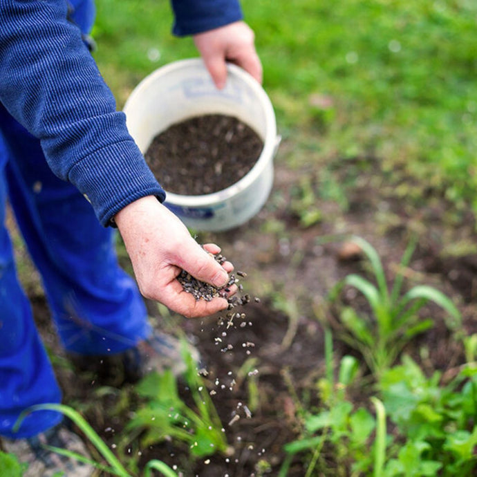 Organic vs. Synthetic Fertilizer
