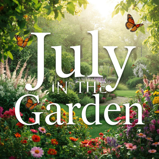 July In the Garden