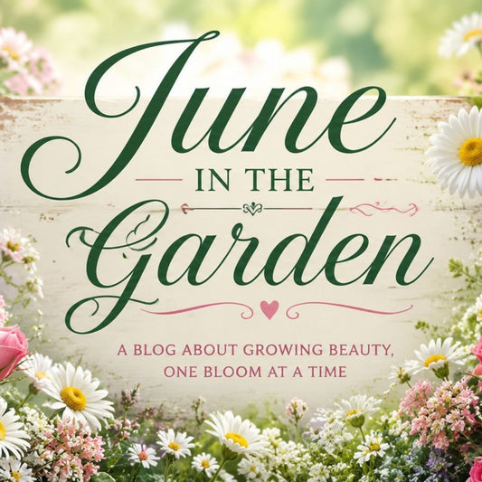 June In the Garden
