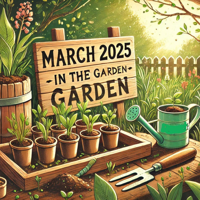 March 2025 In the Garden