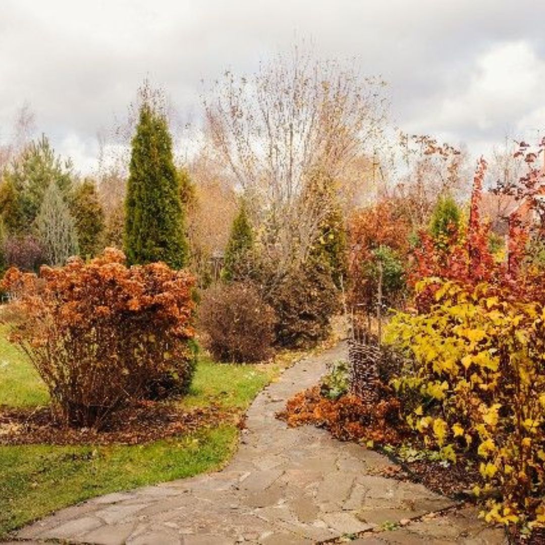 November 2025 — In the Garden and the Home