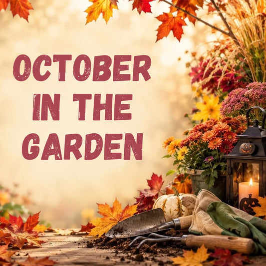 October in the Garden