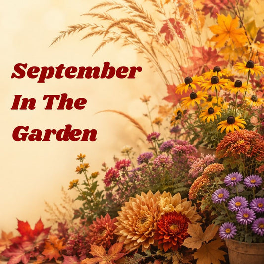 September In the Garden
