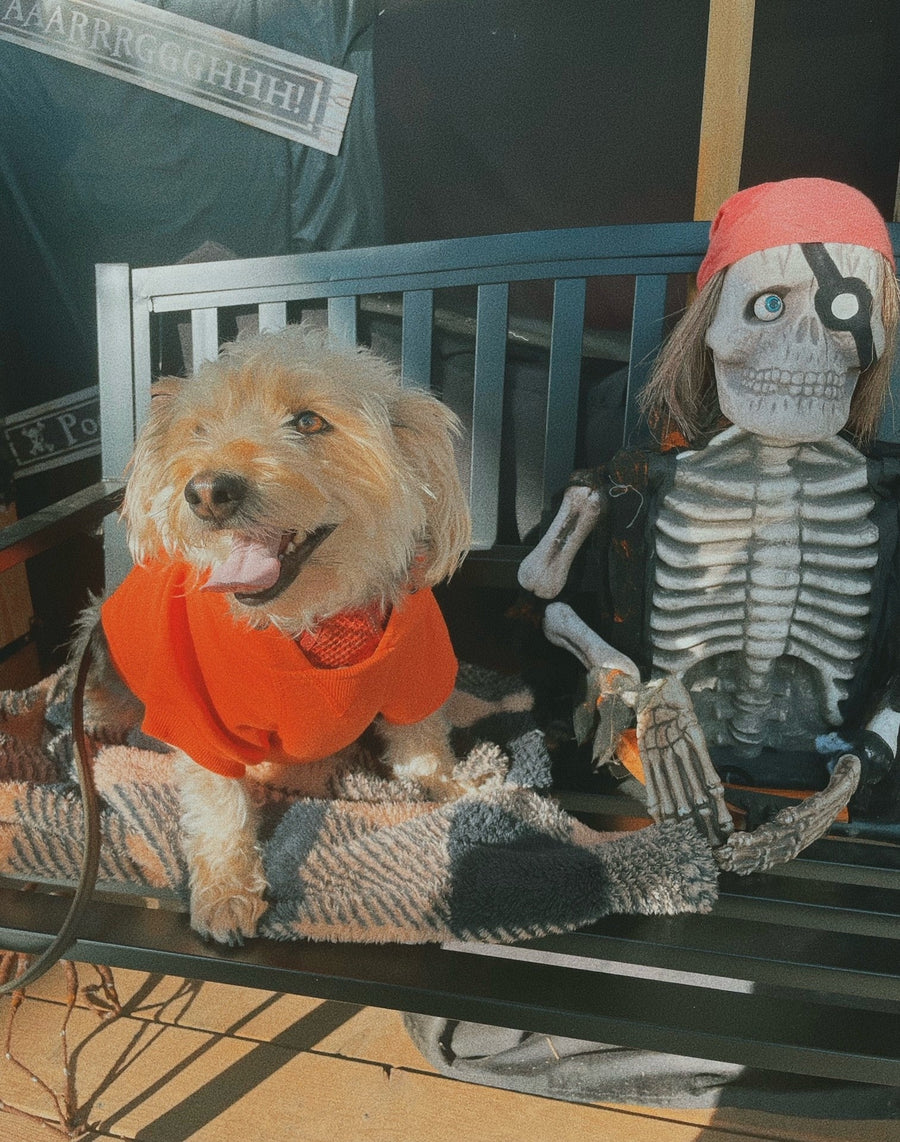 HALLOWEEN PHOTO BOOTH CONTEST 2024