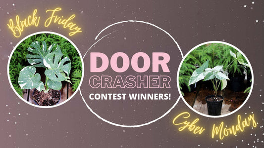 BFCM 2021 Door Crasher Contest Winners