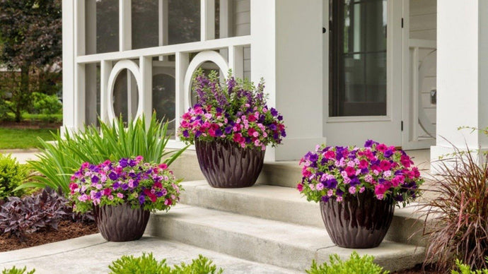 DIY Mixed Planters- Tips to Help You Make a Statement!