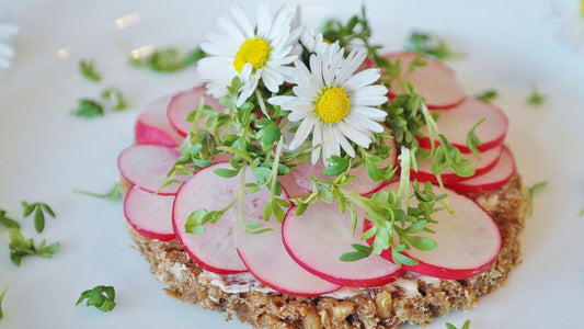 Surprising Flowers You can EAT! - Floral Acres Greenhouse & Garden Centre