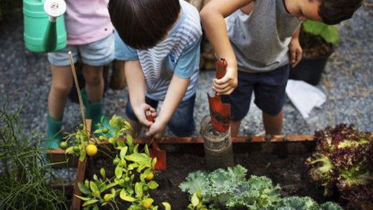 Companion Planting - Floral Acres Greenhouse & Garden Centre