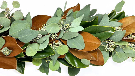 PRESERVING CHRISTMAS GREENERY – MAGNOLIA AND EUCALYPTUS