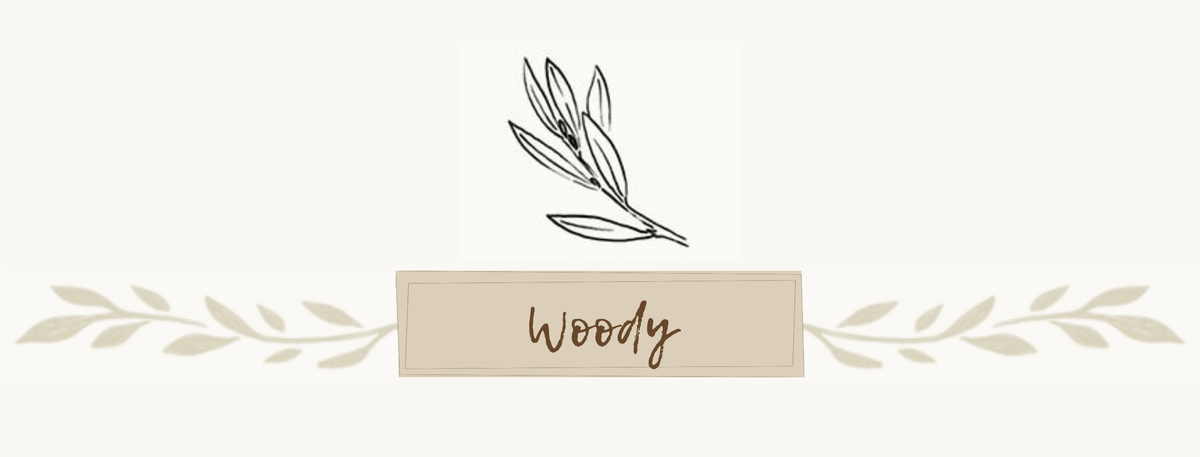 Thymes - Woody