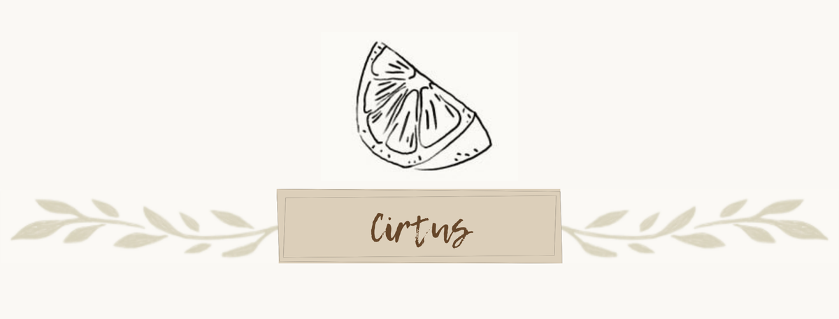 Thymes - Citrus