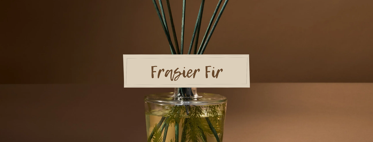 Thymes - Frasier Fir