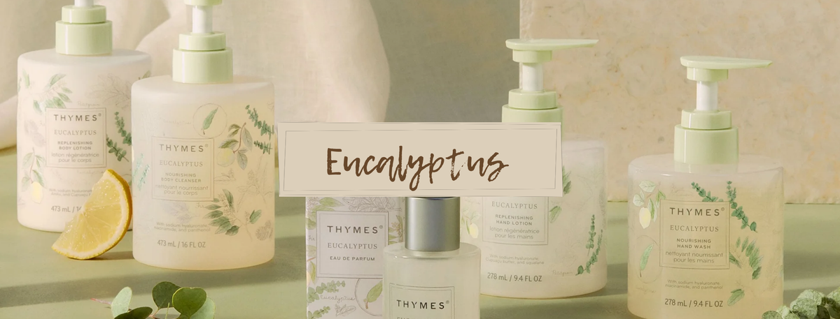 Thymes - Eucalyptus
