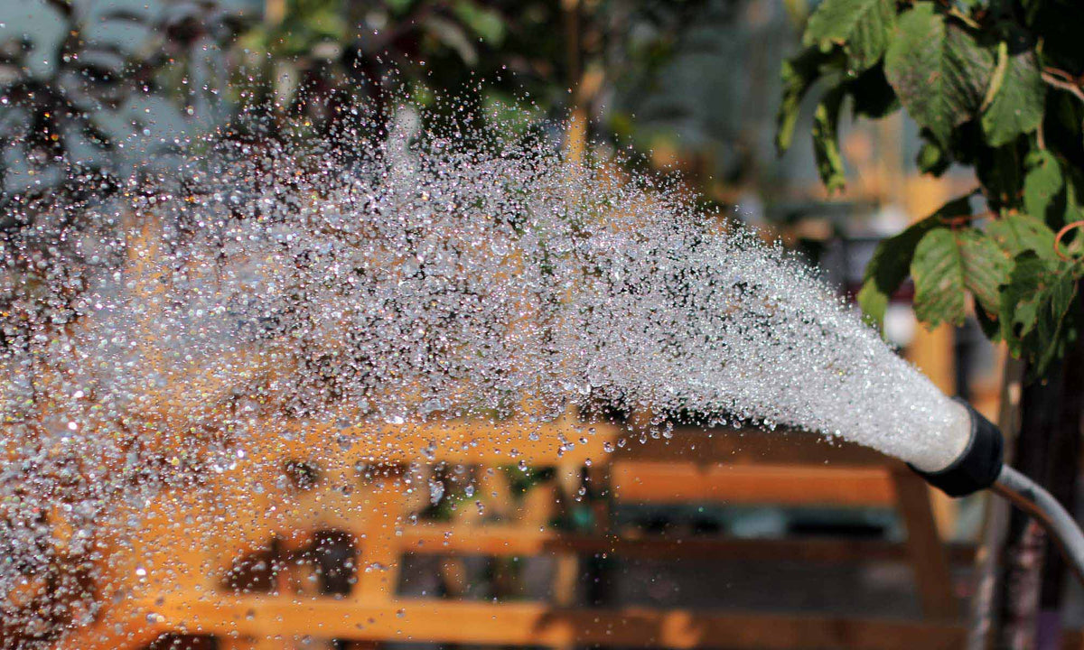 Watering - Floral Acres Greenhouse & Garden Centre