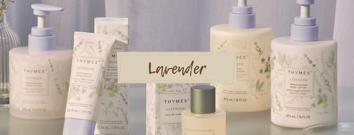 Thymes - Lavender