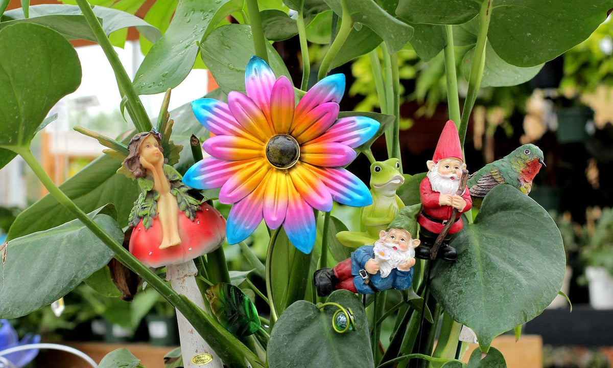 Plant Picks - Floral Acres Greenhouse & Garden Centre