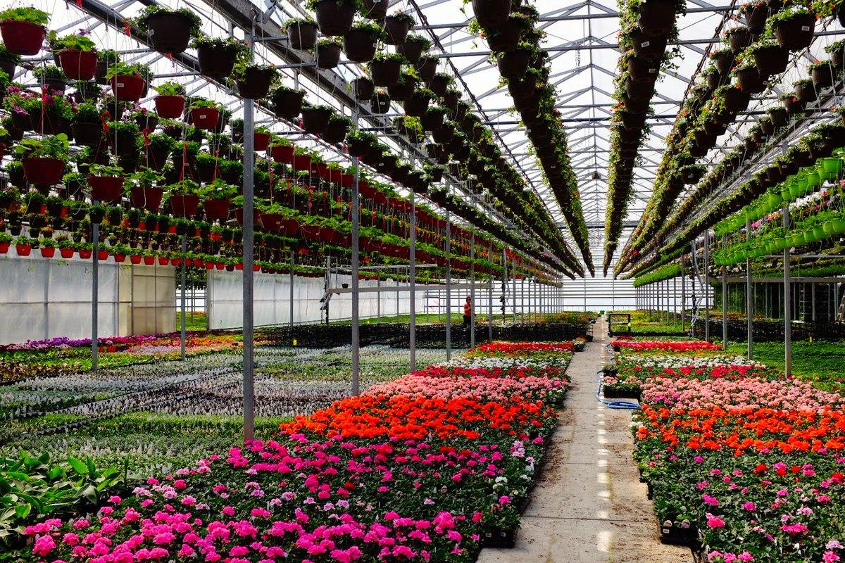 Greenhouse - Floral Acres Greenhouse & Garden Centre